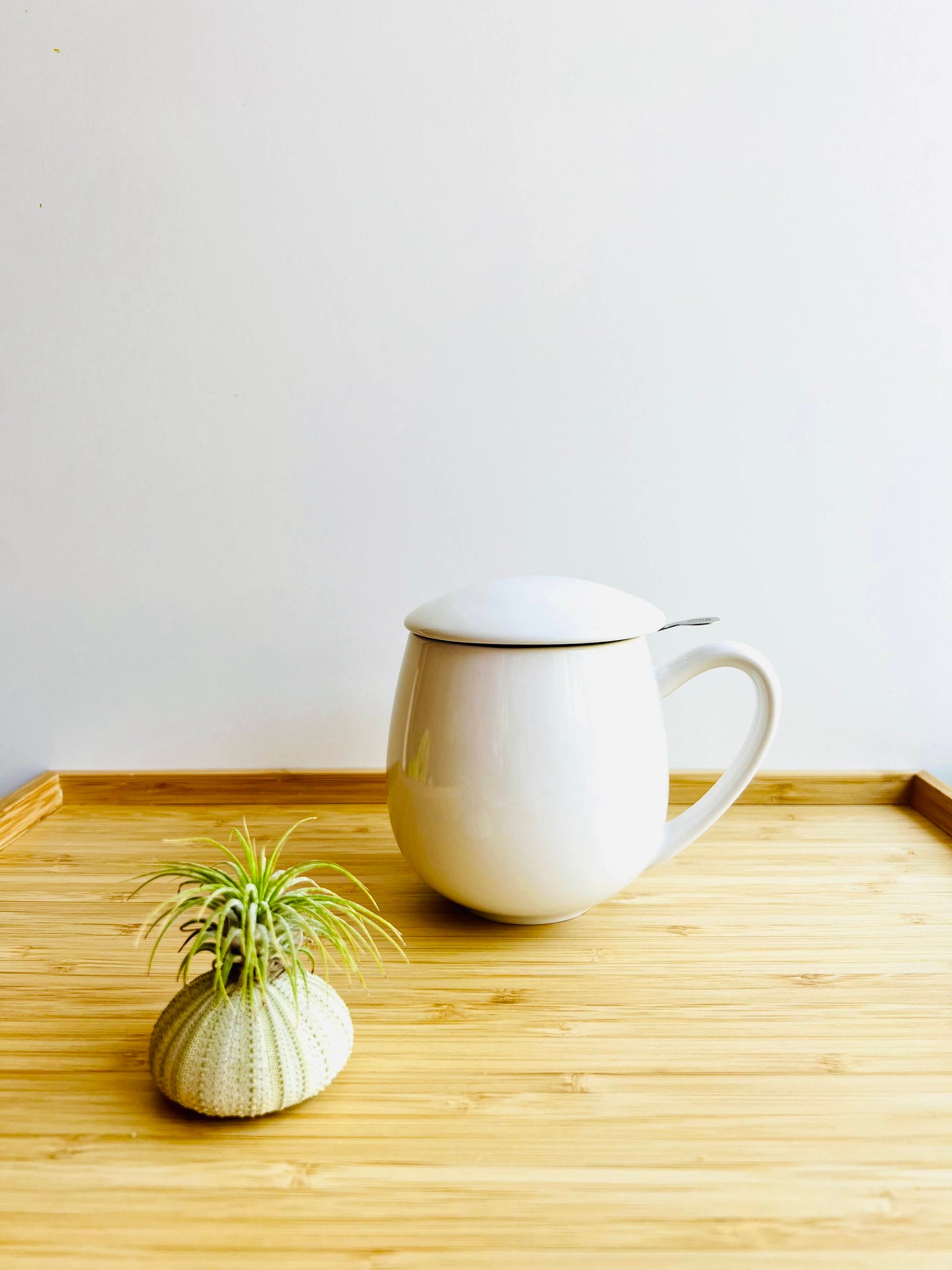 Steeping Tea Cups