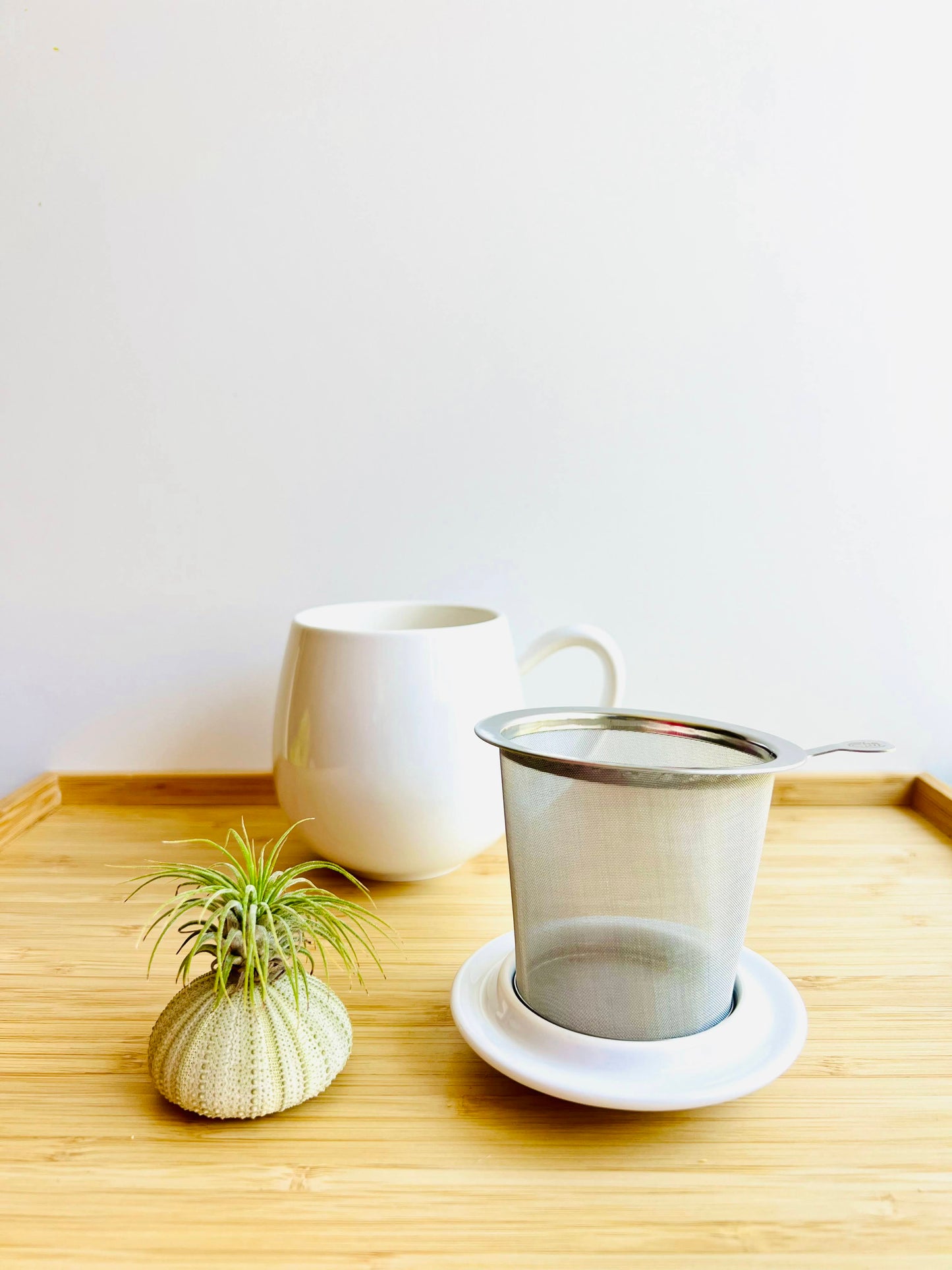 Steeping Tea Cups